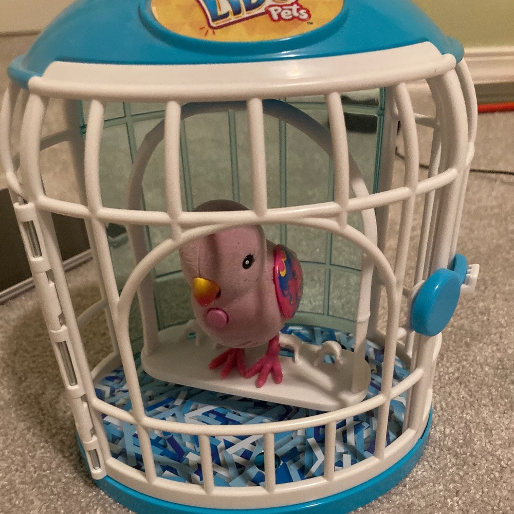 Little Live Pets Secret Songbird and cage